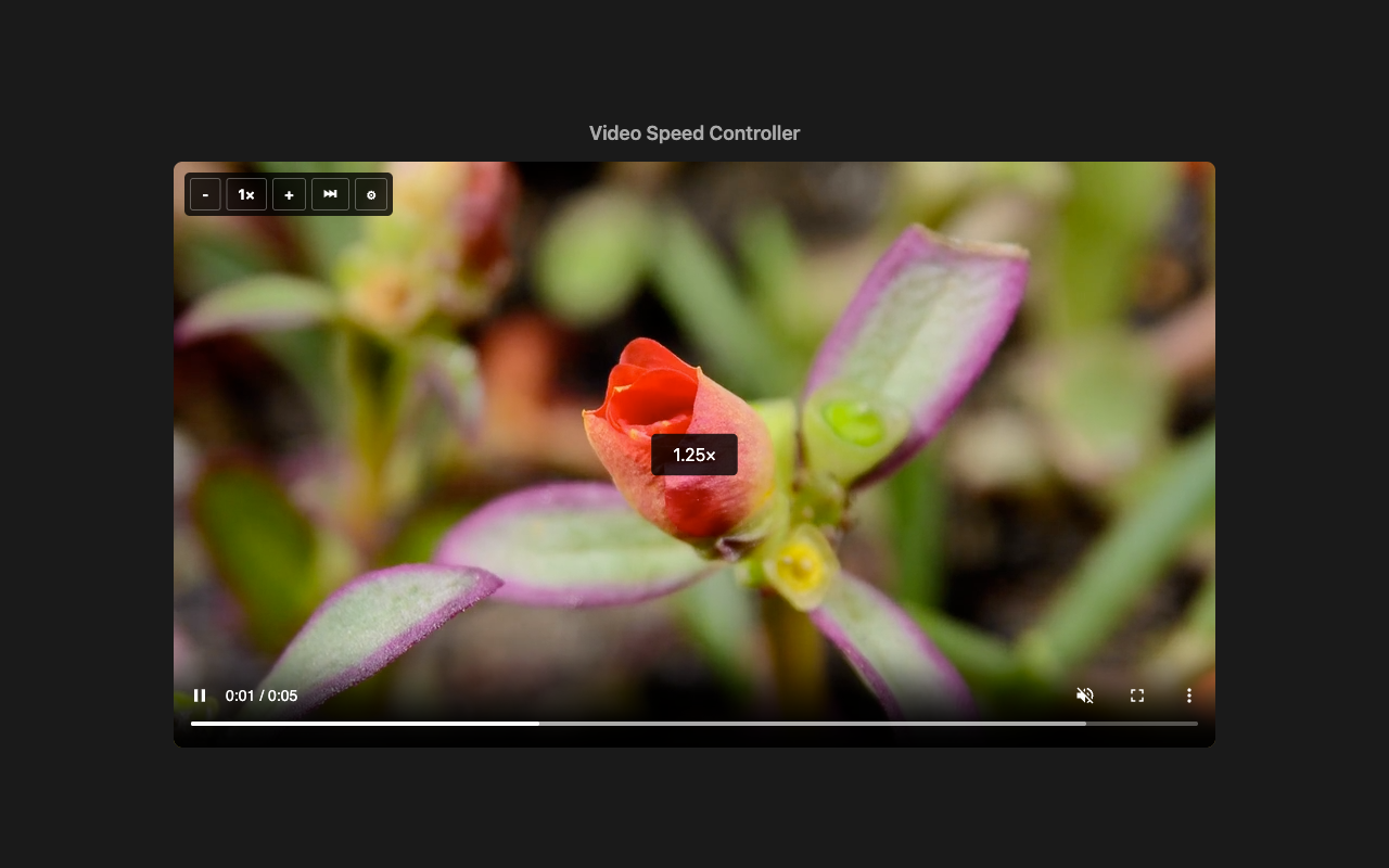 On-video speed controls and overlay on a playing video